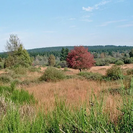 Apartment Bienenhaus 1 *