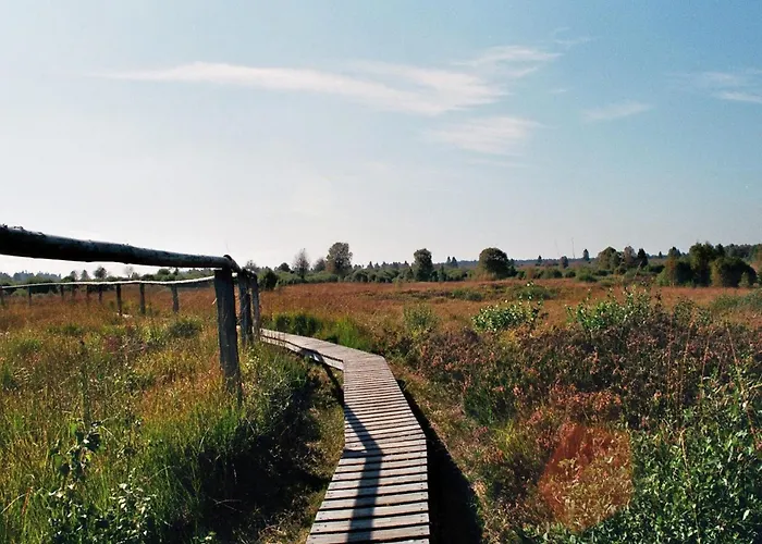Appartement Bienenhaus 1