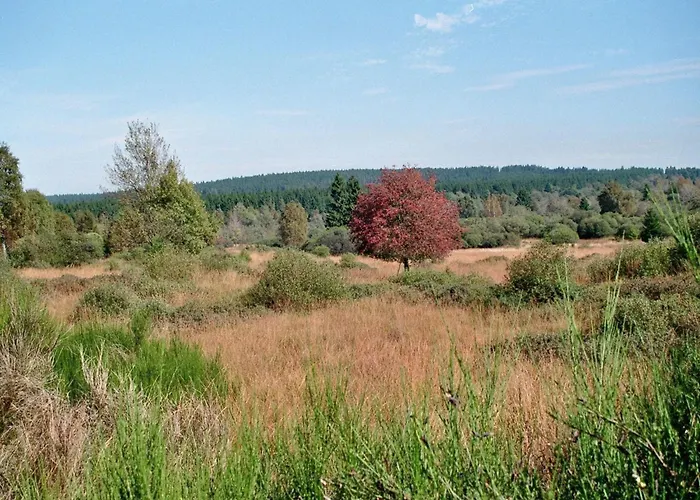 Bienenhaus 1 Διαμέρισμα