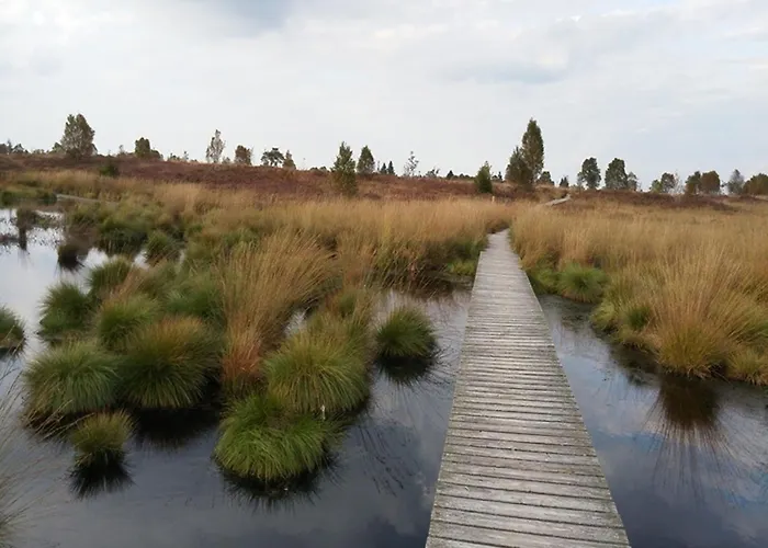 Bienenhaus 1 * Montjoie
